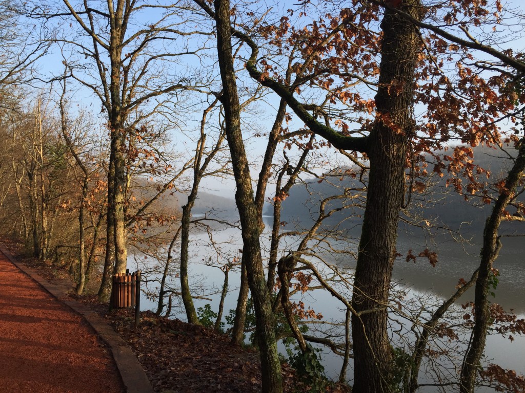 Belgrad Ormanı